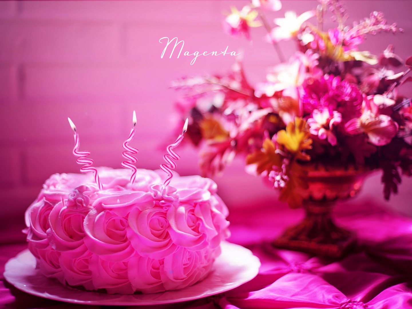 マゼンタカラーの色の持つ意味