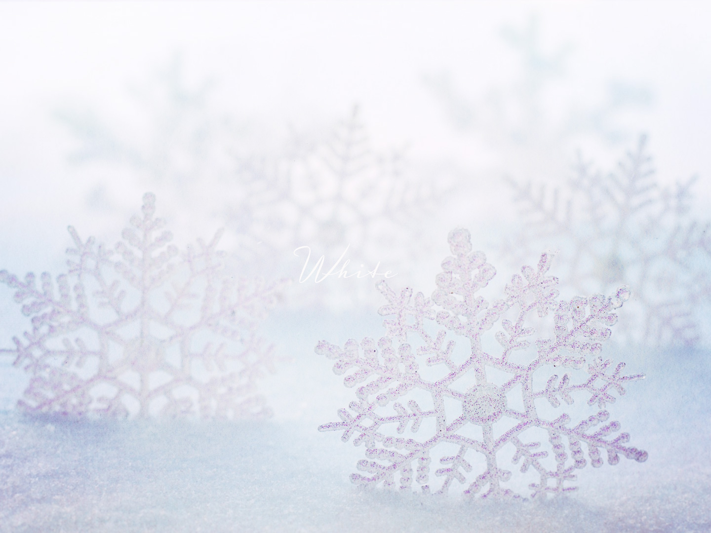 ホワイトの色の持つ意味