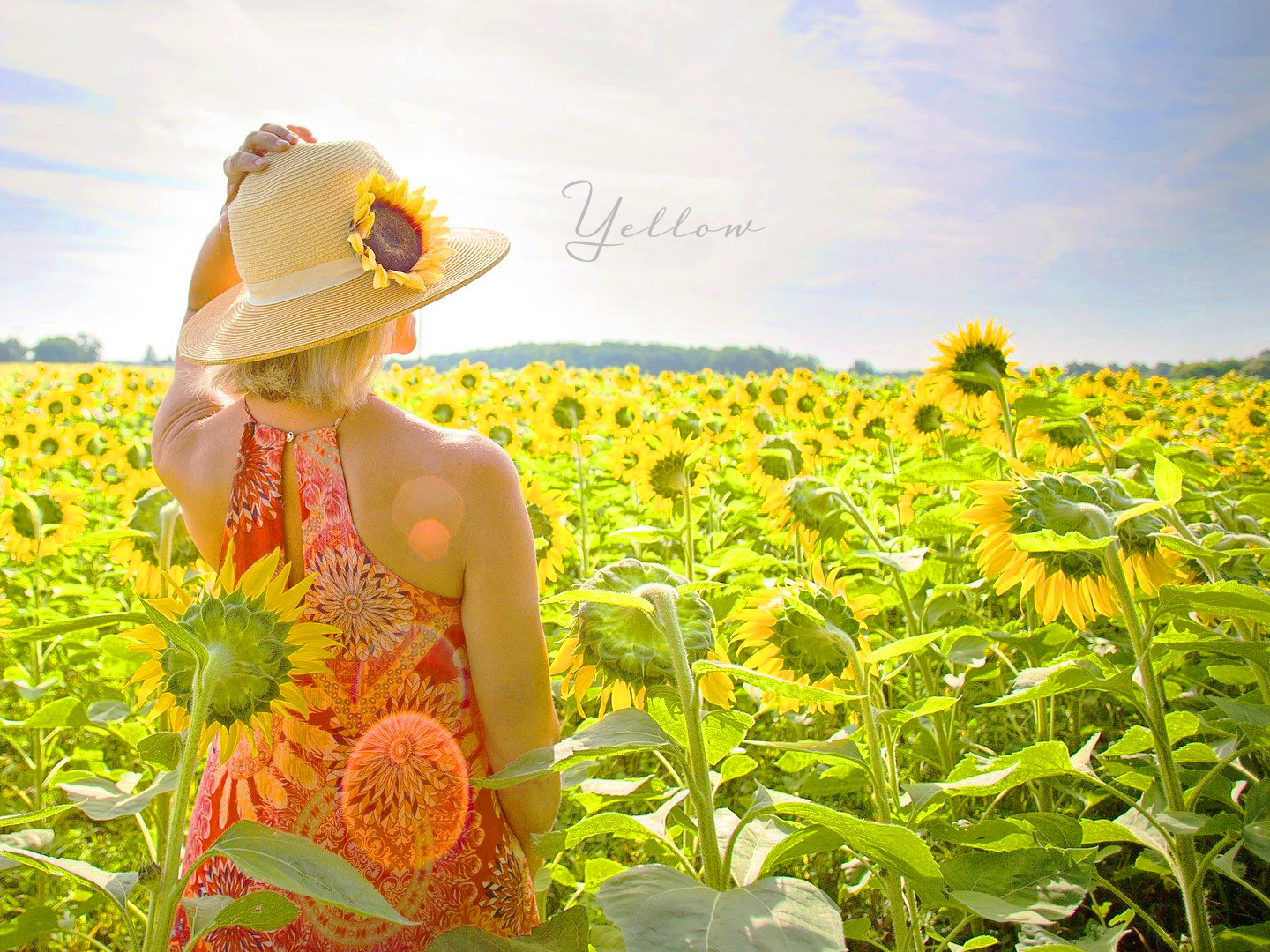 イエローの色の持つ意味