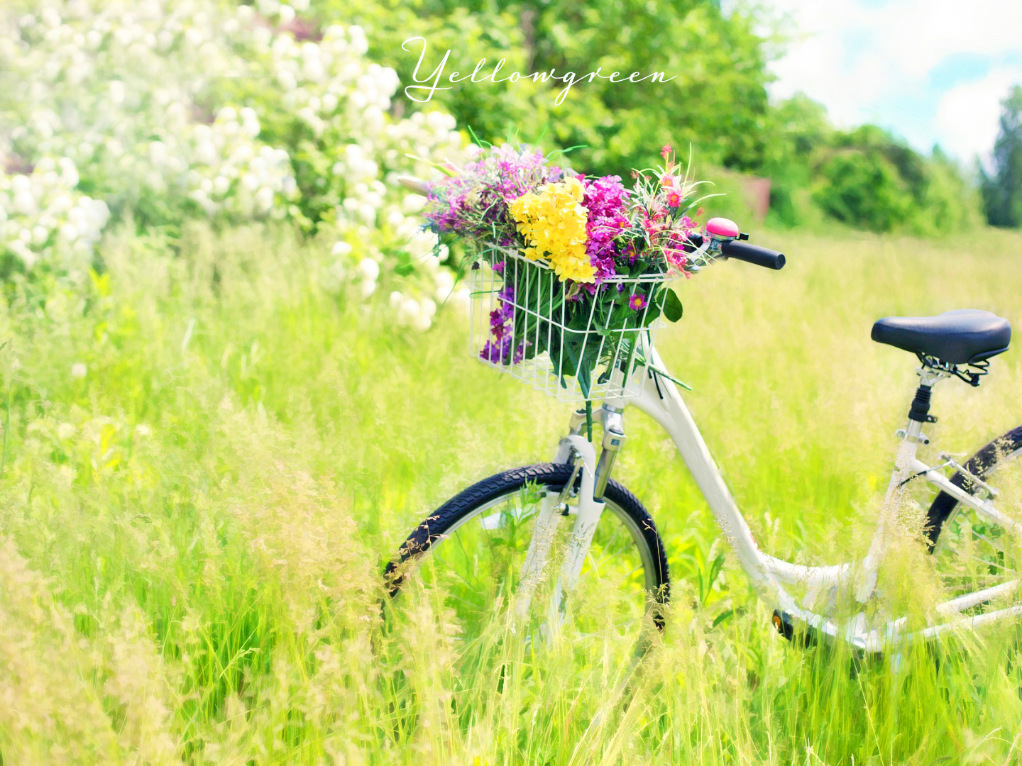 イエローグリーンの色の持つ意味