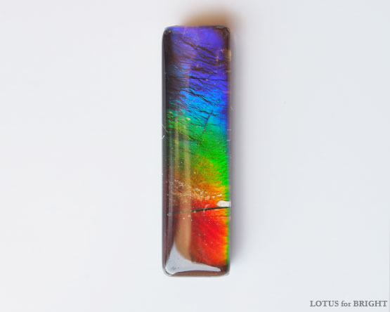 アンモライト　3.16ct