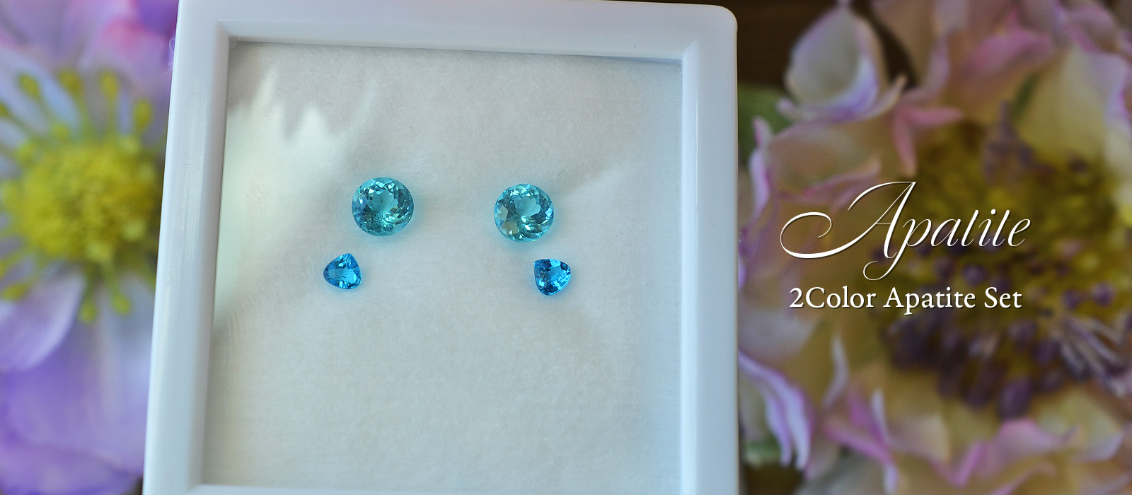 ２カラーアパタイトルースセット