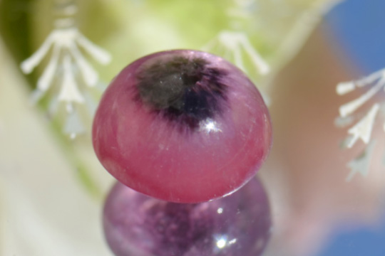 ピンクトルマリンブルズアイカボション