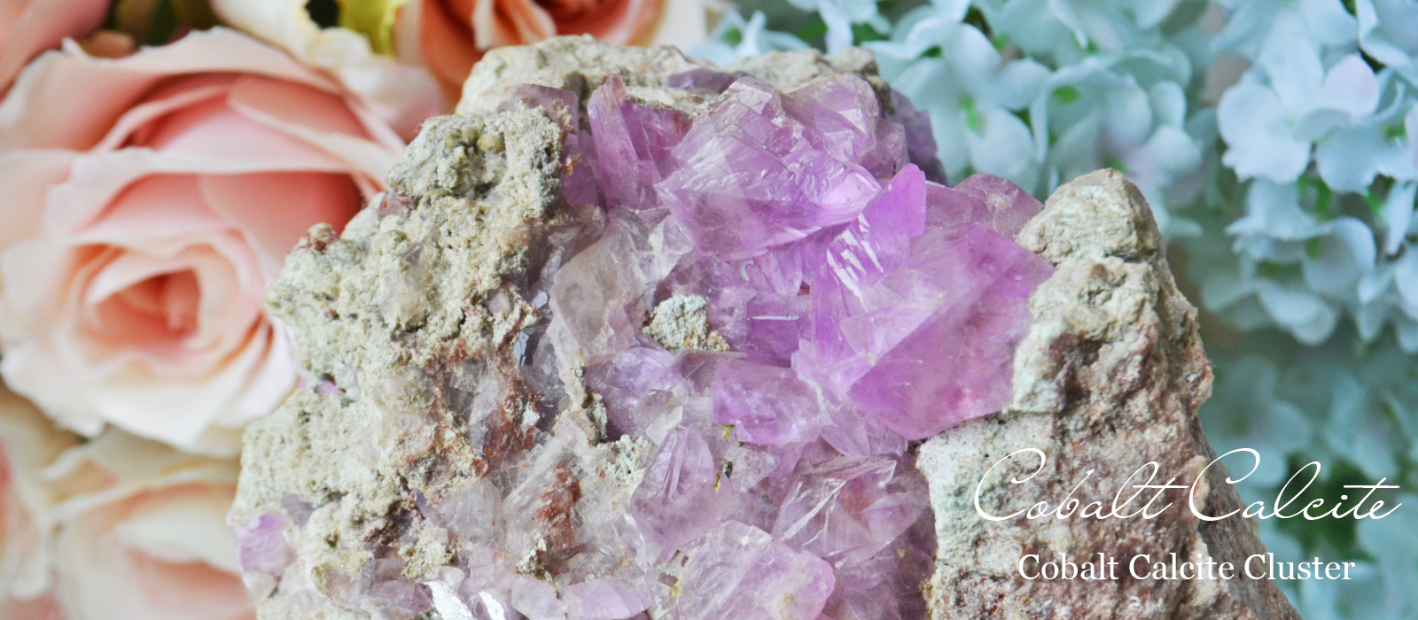 コバルトカルサイト犬牙状クラスターコンゴ産