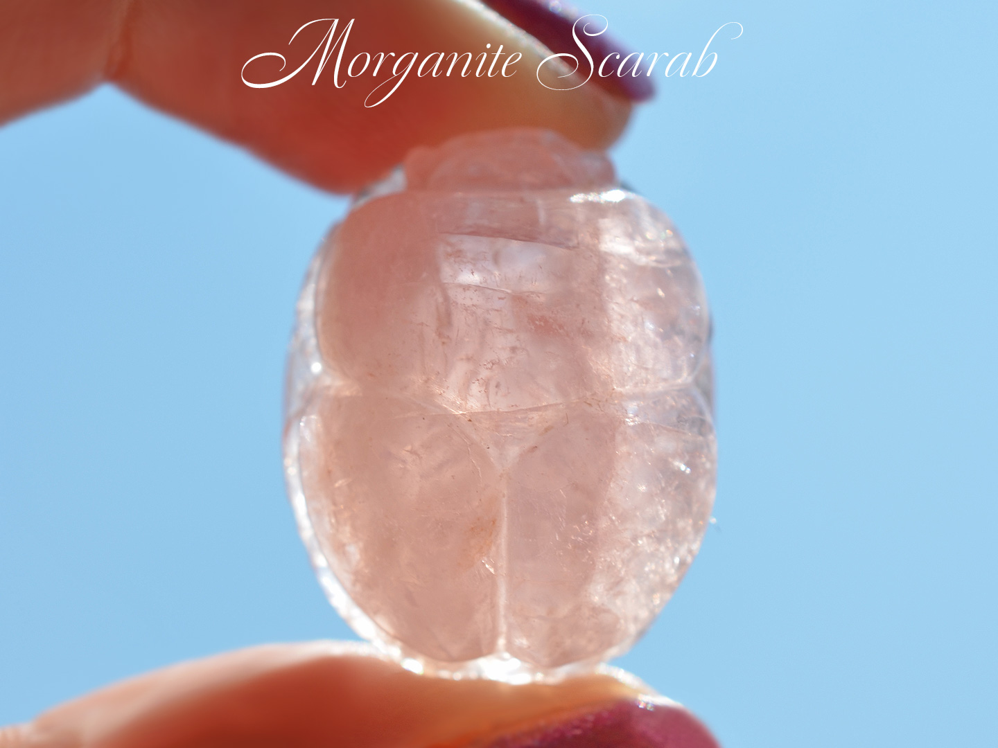 モルガナイトスカラベカービング