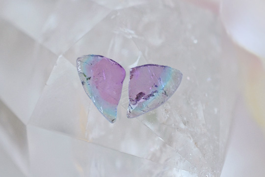 パライバトルマリントリカラーバタフライ