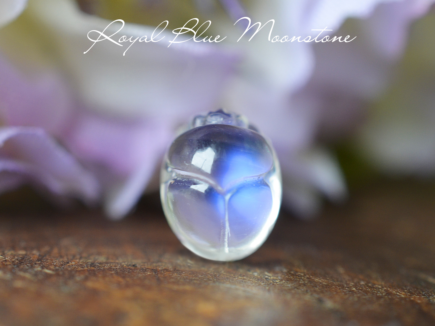 ロイヤルブルームーンストーンスカラベカービング2.77ct