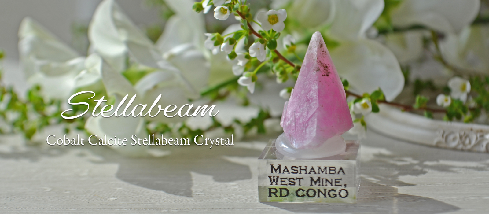 コバルトカルサイトステラビーム犬牙状結晶