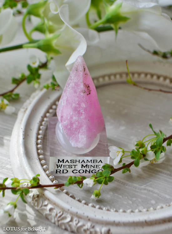 コバルトカルサイトステラビーム犬牙状結晶