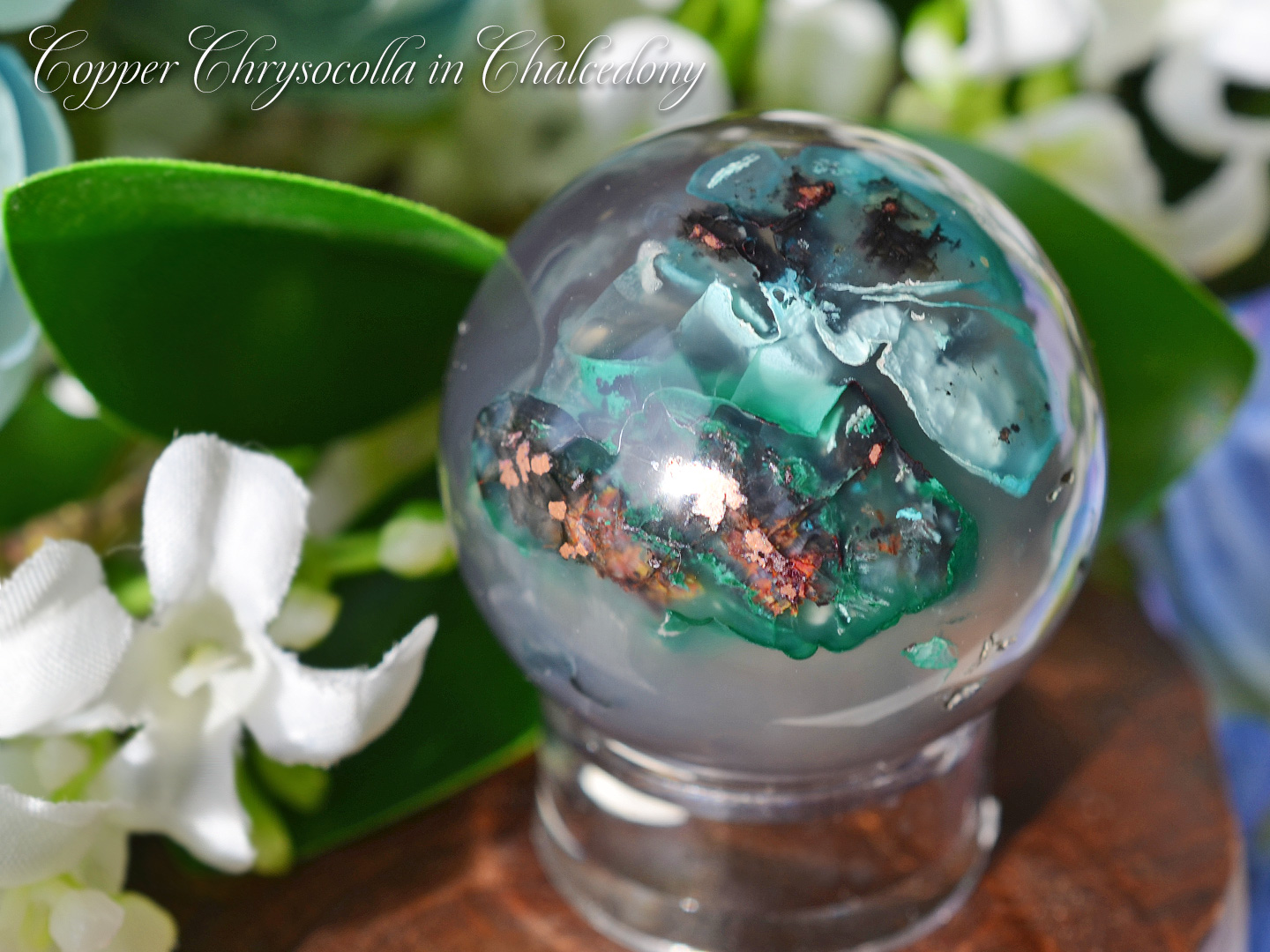 コッパークリソコラ　インカルセドニースフィア中　インドネシア産 