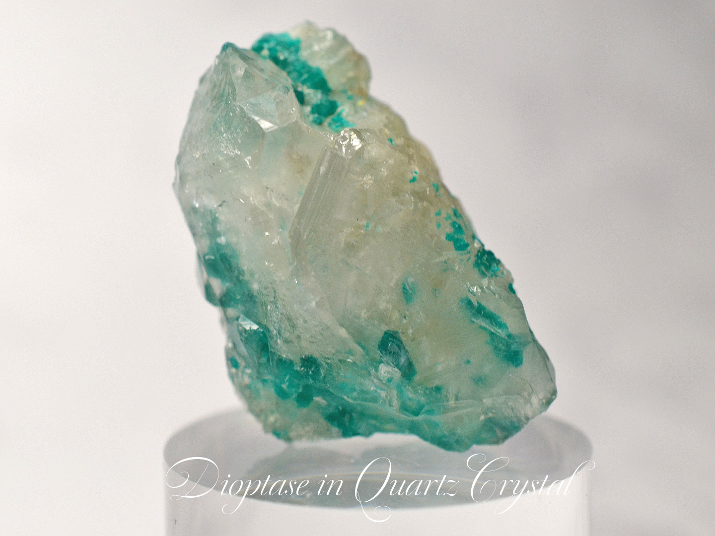 ダイオプテーズインクォーツ　コンゴ産