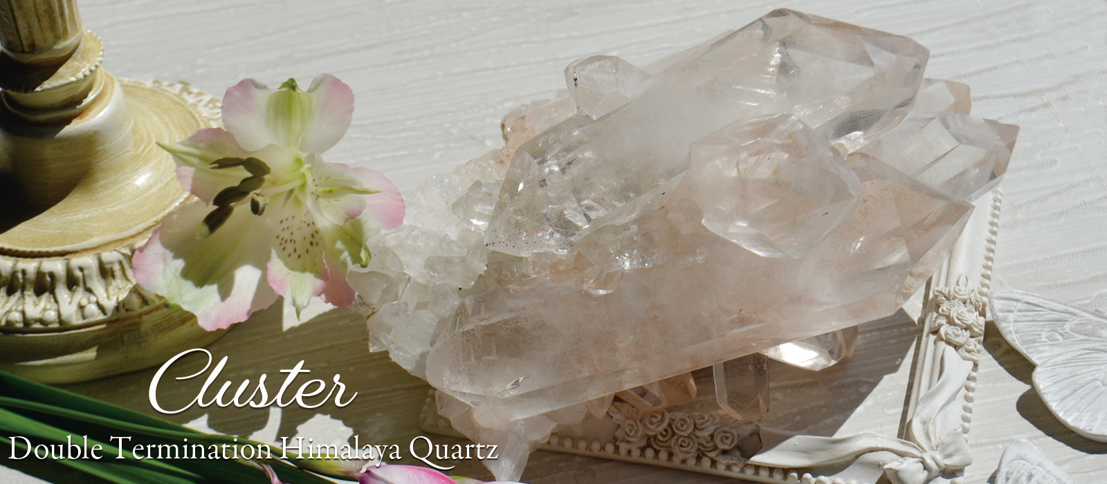 ヒマラヤダブルーターミネーションクラスター